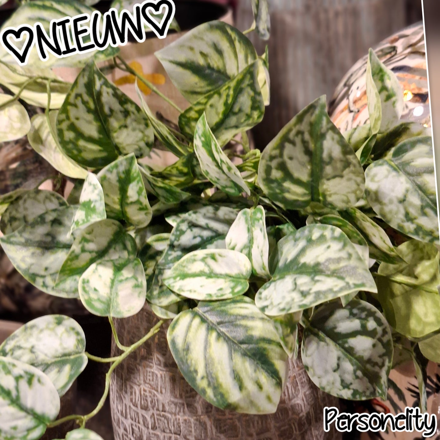 6742- ♡NIEUW♡ Plantensteker groot €24,95