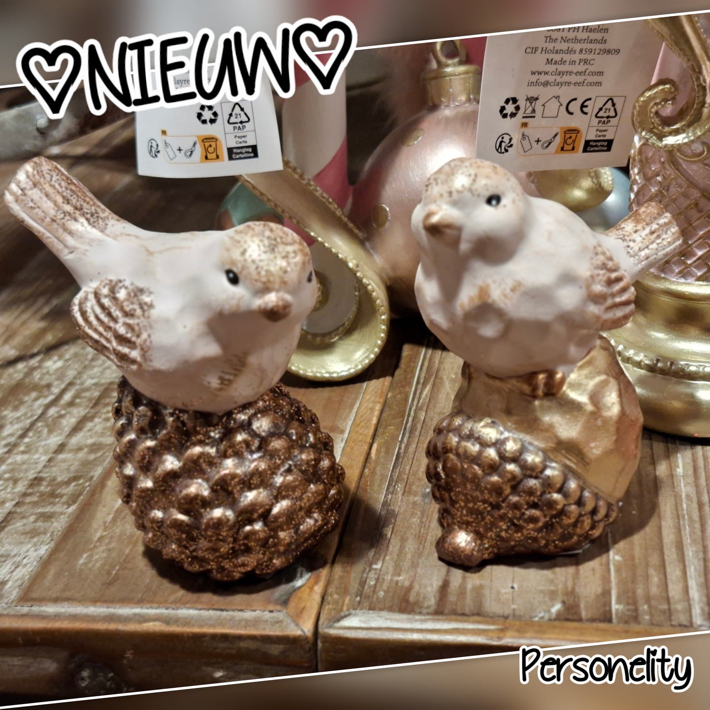 6745- ♡NIEUW♡ Set van 2 vogeltjes €12,-