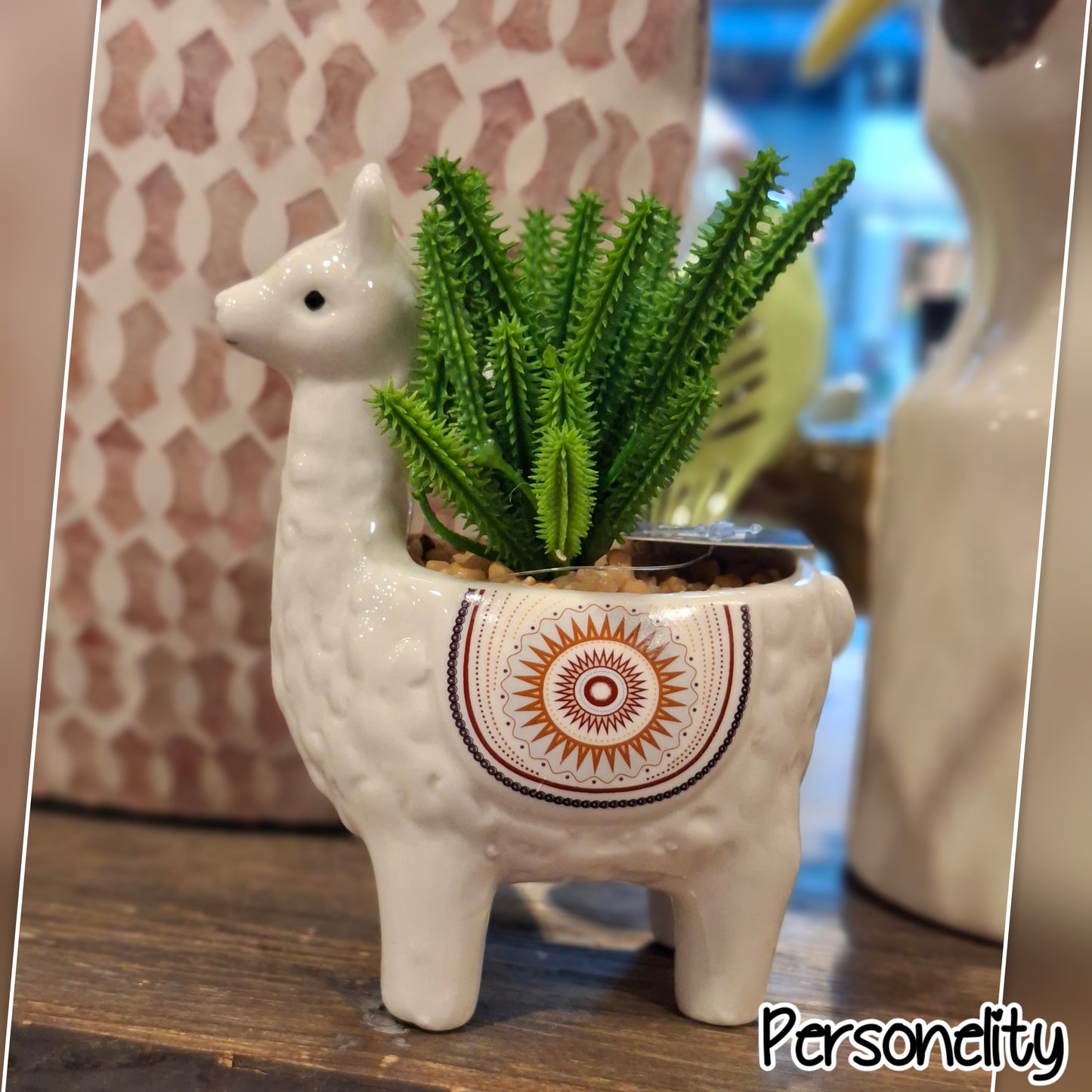 7136- ♡NIEUW♡ Crème Alcapa met plantje €10,- Ophalen in Schiedam