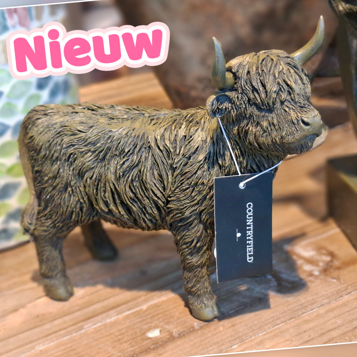 7440- ♡NIEUW♡ Schotse hooglander €15,- Ophalen in Schiedam of in overleg in Maassluis