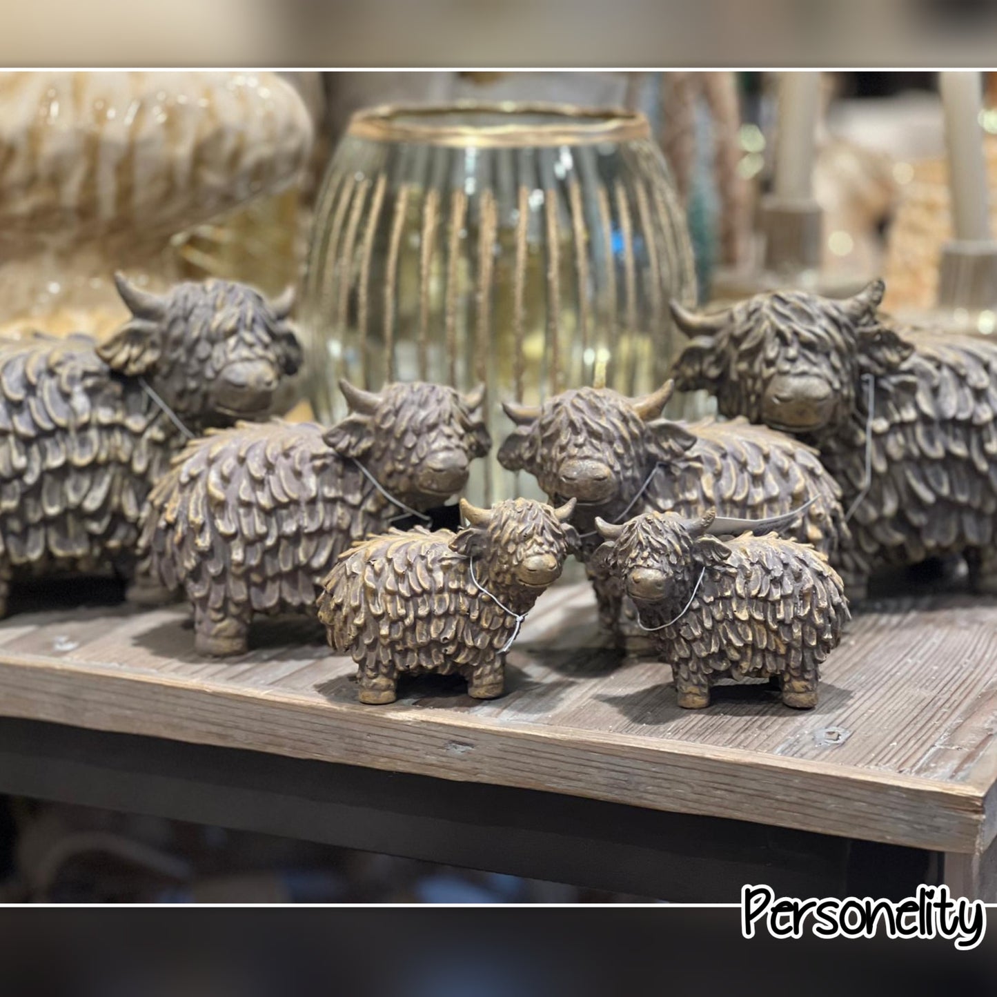 6611- ♡NIEUW♡ 2x middel Bizon €20,-