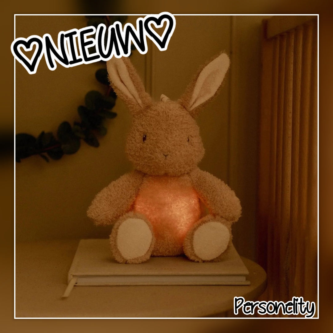 6716- ♡NIEUW♡ Little Dutch Newborn Knuffelkonijn met Licht & Geluid €39,95