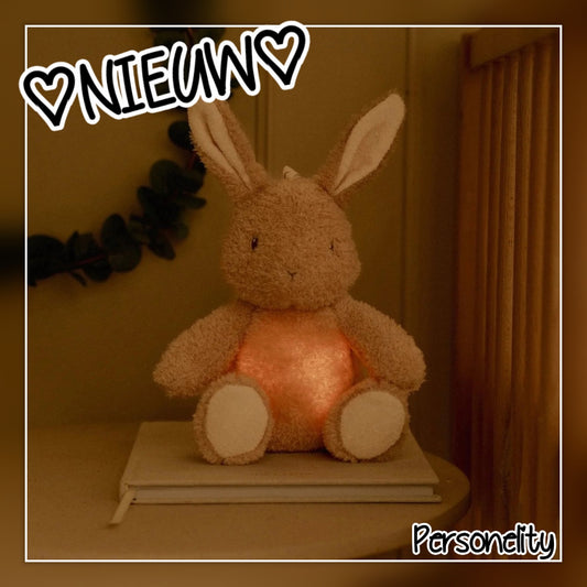 6716- ♡NIEUW♡ Little Dutch Newborn Knuffelkonijn met Licht & Geluid €39,95