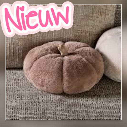 7447- ♡NIEUW♡ Riviera Maison - Pumpkin Faux Fur Box Pillow S €40,- Ophalen in Schiedam of in overleg in Maassluis