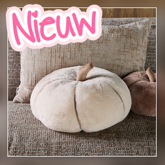 7450- ♡NIEUW♡ Riviera Maison - Pumpkin Faux Fur Box Pillow L €60,- Ophalen in Schiedam of in overleg in Maassluis