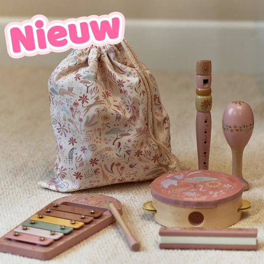 7376- ♡NIEUW BINNEN ♡ Little Dutch Muziekset - Roze Safari Friends €30,-   Ophalen in Schiedam of in overleg in Maassluis