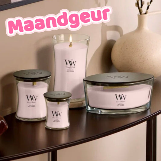 7391- ♡MAANDGEUR♡ WoodWick Rose Blush medium nu voor €22,50. Ophalen in Schiedam of in overleg in Maassluis