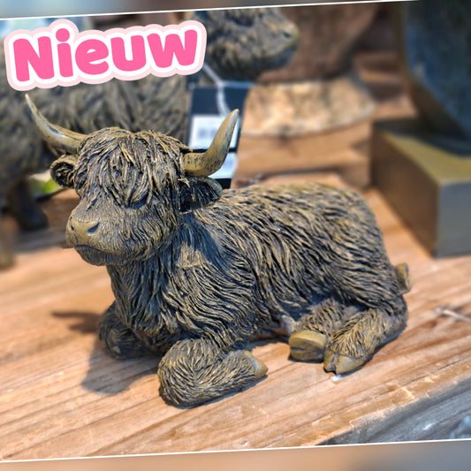 7439- ♡NIEUW♡ Schotse hooglander liggend €15,- Ophalen in Schiedam of in overleg in Maassluis