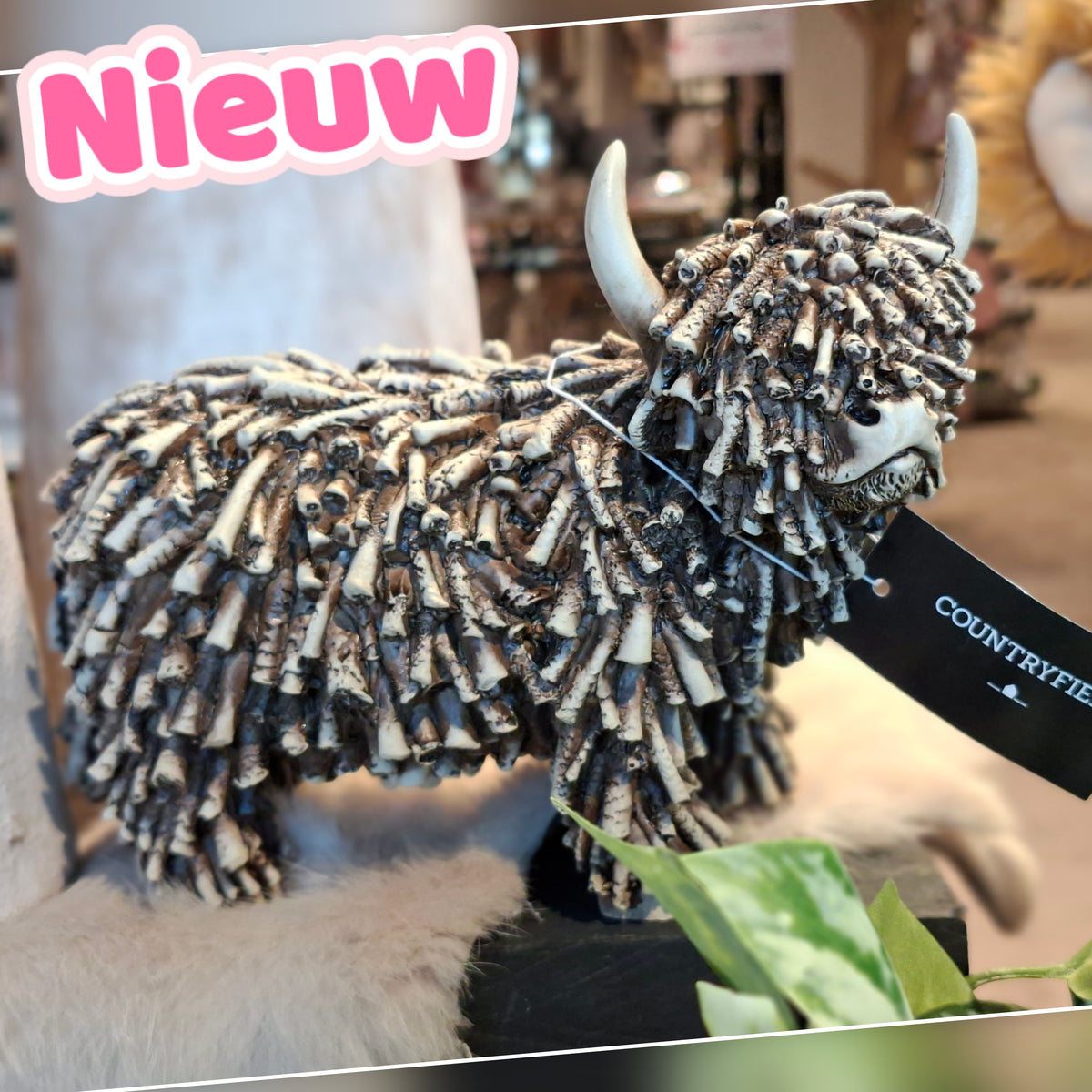 7441- ♡NIEUW♡ Schotse hooglander maat S €20,- Ophalen in Schiedam of in overleg in Maassluis