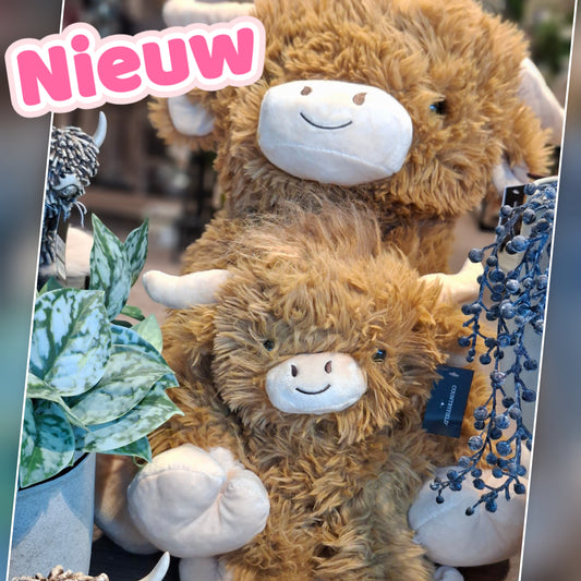 7444- ♡NIEUW♡ Schotse hooglander knuffel grote maat €50,- Ophalen in Schiedam of in overleg in Maassluis